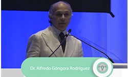 Insuficiencia ovárica primaria