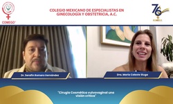 Cirugía Cosmética vulvovaginal una visión crítica