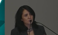 Lesiones pigmentadas de la vulva