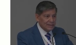 Lesiones intraepiteliales de la vulva, bajo y alto grado