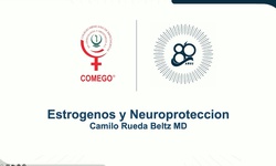 Conferencia especial: Estrógenos y neuroproteccion