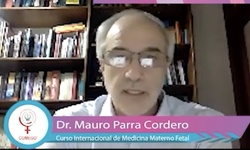 La preeclampsia. Un reto para los sistemas de salud en America Latina