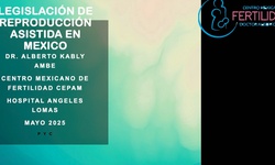 Gynetok: Legislación en materia de reproducción en México. ¿A donde vamos?