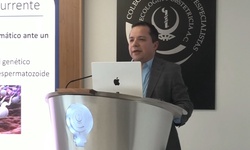 Factor masculino como causa de pérdida gestacional recurrente: cuando estudiar, estudios mínimos necesarios