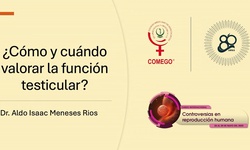 ¿Cómo y cuándo valorar la función testicular?