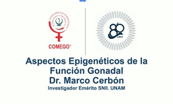 Aspectos epigenéticos de la función gonadal