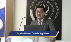 Procesos infecciosos y sus implicaciones en el embarazo