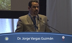 Insuficiencia ovárica primaria
