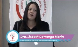 Desarrollos tecnológicos para el procesamiento de imágenes de ultrasonido y señales fetales, como se crean las nuevas herramientas diagnósticas en medicina materno fetal. Resultados INPer