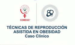 Caso clínico estructurado. Técnicas de reproducción asistida en obesidad