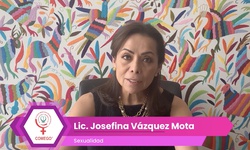 La niña y la adolescente con violencia en México ¿Cómo podemos resolver el problema?