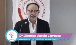 Asesoramiento genético en el diagnóstico prenatal. ¿Cuándo, cómo y quién debe otorgarlo?