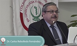 Ecografía y diagnóstico prenatal en embarazo múltiple.