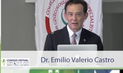 Inmunohistoquímica y genética endometrial