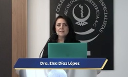 Telemedicina en Gineco obstetricia ¿En qué casos? ¿Hasta dónde llega mi responsabilidad?
