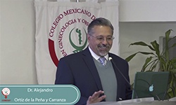 Anatomía quirúrgica de la vulva para el cirujano colposcopista