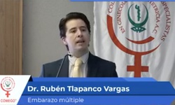 Biólogo de la reproducción. Papel en el embarazo múltiple