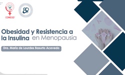 Obesidad y resistencia a la insulina en menopausia