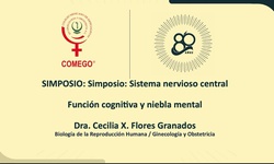Función cognitiva y niebla mental