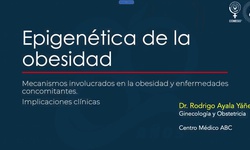 Epigenética de la obesidad