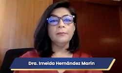 Protestina/progestinas y endometrio en la menopausia