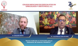 Nuevas moléculas no hormonales para el tratamiento del síndrome climatérico