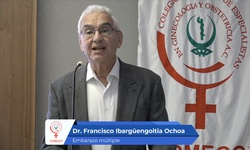 Embarazo múltiple. Factores de riesgo