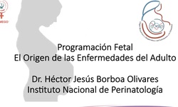 Origen bioquímico y epigenético del sobrepeso y la obesidad; su impacto en la programación fetal y resultados de investigación en el proyecto INPer
