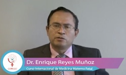 Intervenciones efectivas en la prevención de la Diabetes Gestacional