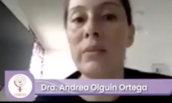 Histerectomia vaginal y laparoscópica. Criterios de conversión a laparotomía