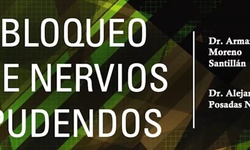 Ligadura de arterias hipogástricas