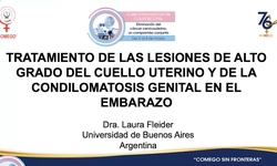 Manejo de las lesiones intraepiteliales de alto grado en cérvix y condilomatosis en la paciente embarazada