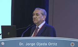 Tratamiento conservador de la LIEAG en cérvix