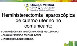 Malformaciones mullerianas