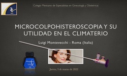 Microcolpohisteroscopia y su utilidad en el Climaterio