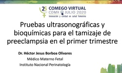 Pruebas ultrasonográficas y bioquímicas para el tamízale de preeclampsia en el primer trimestre